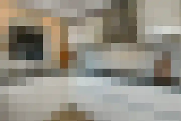 Foto von Sjoerd Rosendaal