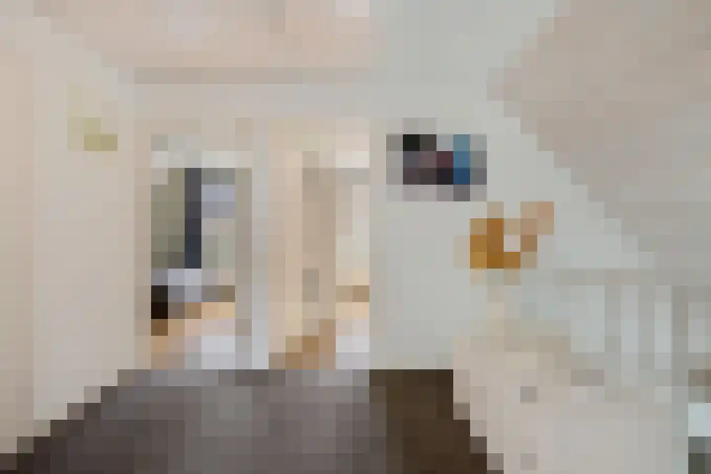 Sjoerd van Stratenstrjitte 32 Kimswerd thumbnail 20