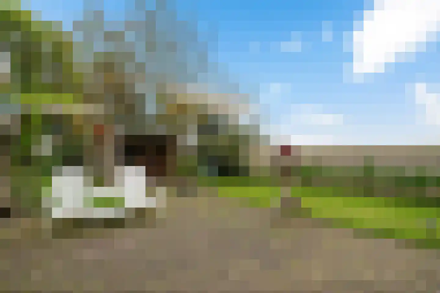 Sjoerd van Stratenstrjitte 32 Kimswerd thumbnail 31