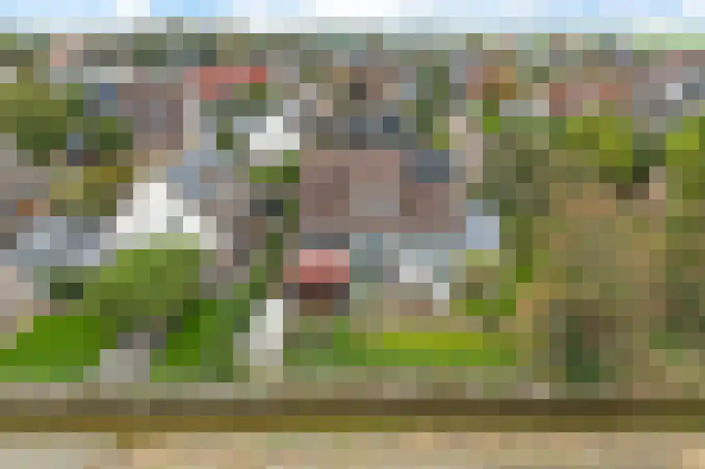 Sjoerd van Stratenstrjitte 32 Kimswerd thumbnail 42
