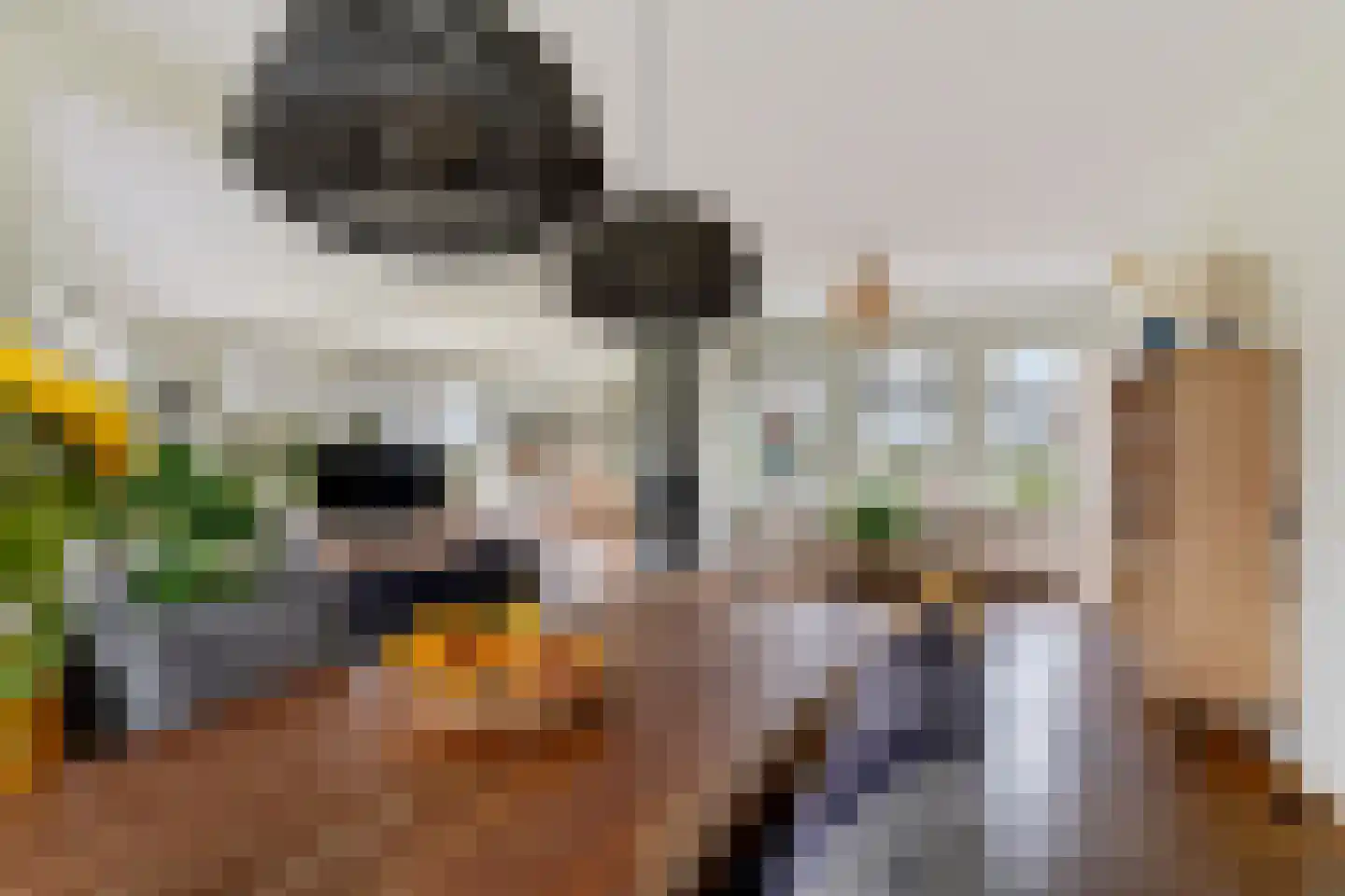Sjoerd van Stratenstrjitte 32 Kimswerd thumbnail 7