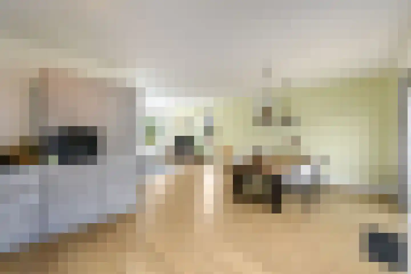 Sjoerd Wiersmahof 1 Joure thumbnail 12