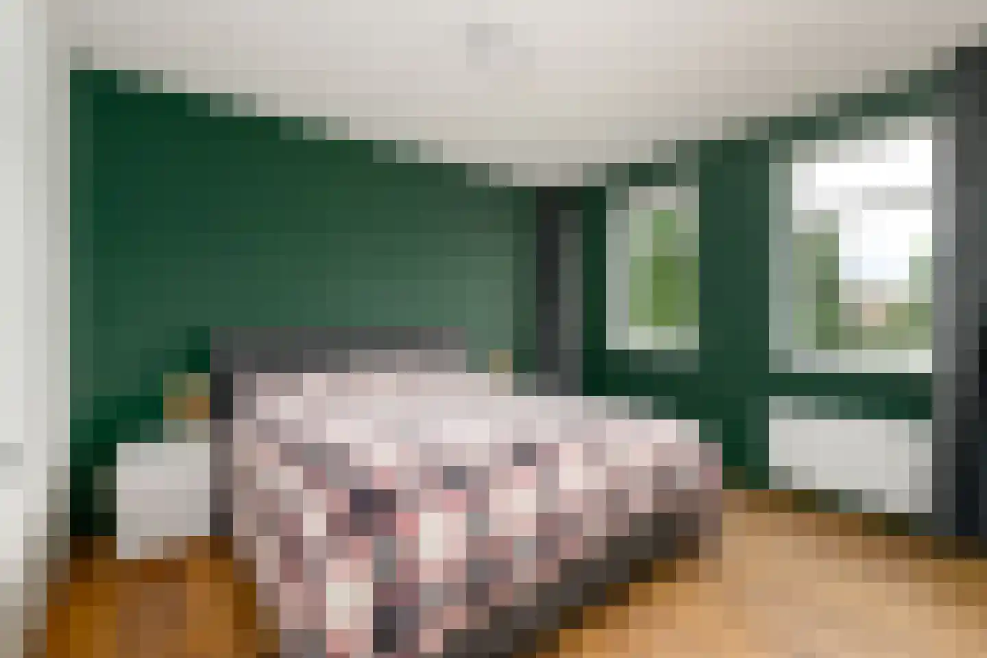 Sjoerd Wiersmahof 1 Joure thumbnail 14