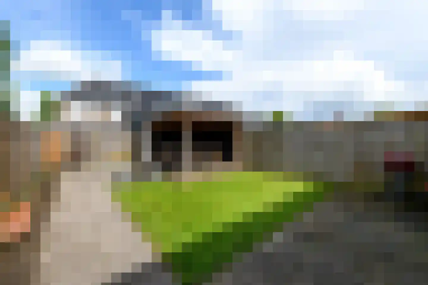 Sjoerd Wiersmahof 1 Joure thumbnail 26