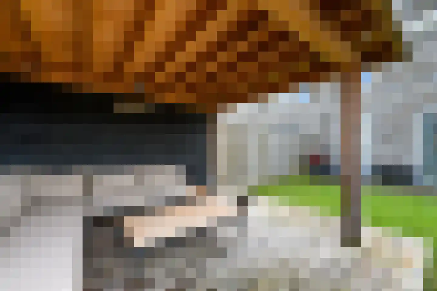 Sjoerd Wiersmahof 1 Joure thumbnail 30