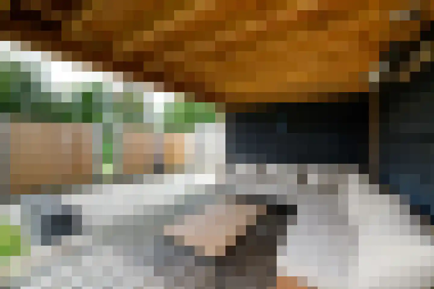 Sjoerd Wiersmahof 1 Joure thumbnail 32