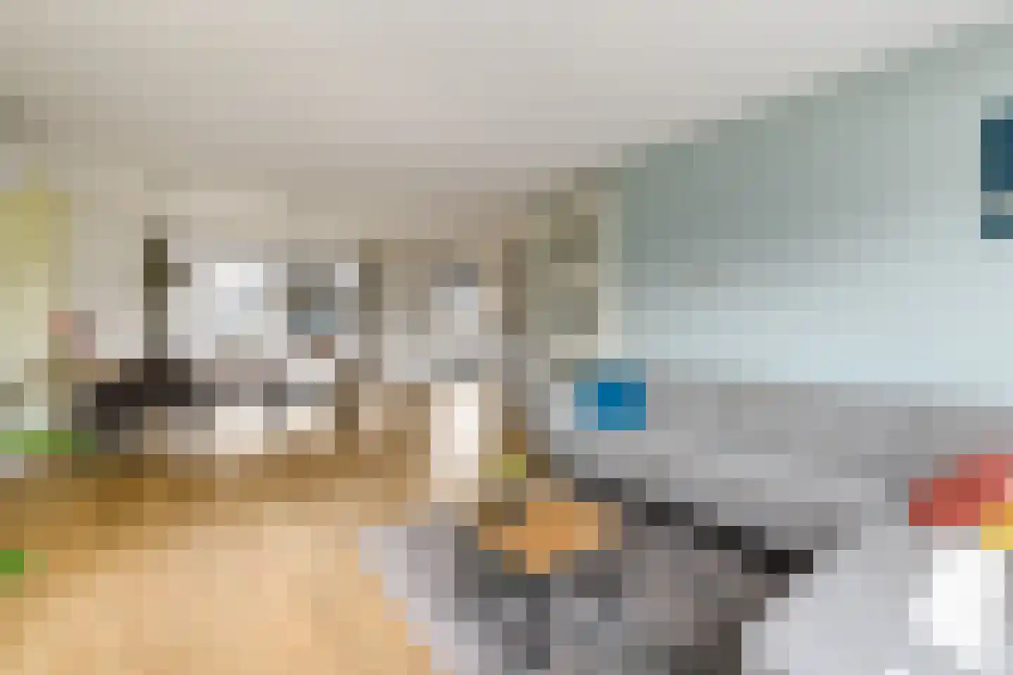 Sjoerd Wiersmahof 1 Joure thumbnail 6