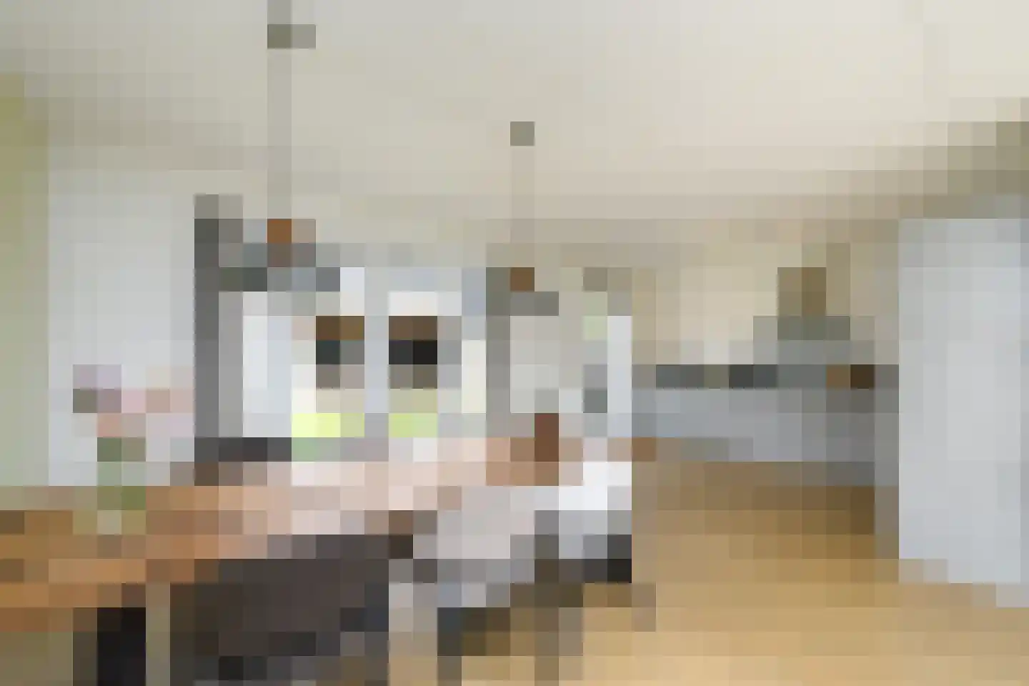 Sjoerd Wiersmahof 1 Joure thumbnail 7