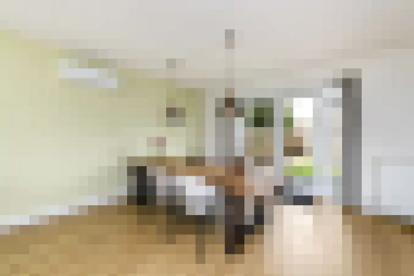 Sjoerd Wiersmahof 1 Joure thumbnail 9