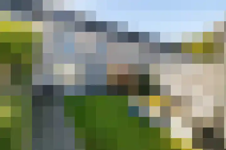Sjoerd Wiersmahof 29 Joure thumbnail 19
