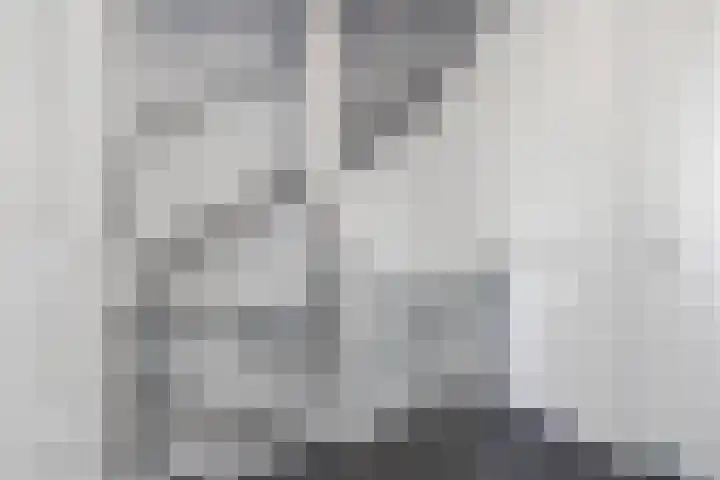 Sjoerd Wiersmahof 29 Joure thumbnail 20