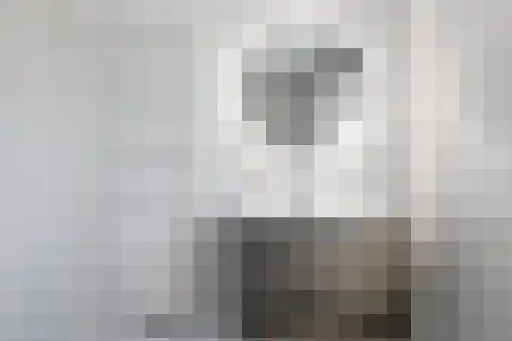 Sjoerd Wiersmahof 29 Joure thumbnail 29