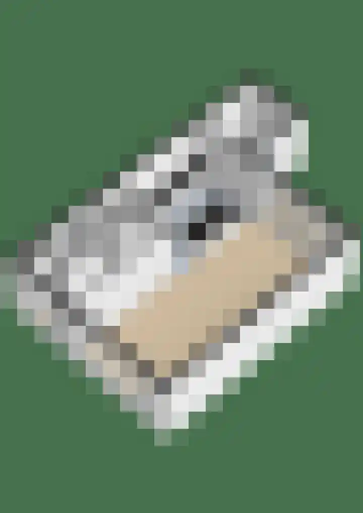 Sjoerd Wiersmahof 29 Joure thumbnail 40