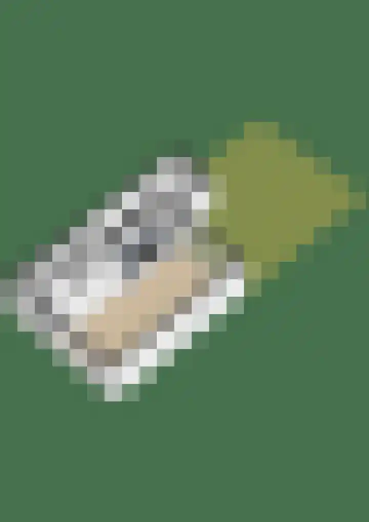 Sjoerd Wiersmahof 29 Joure thumbnail 44
