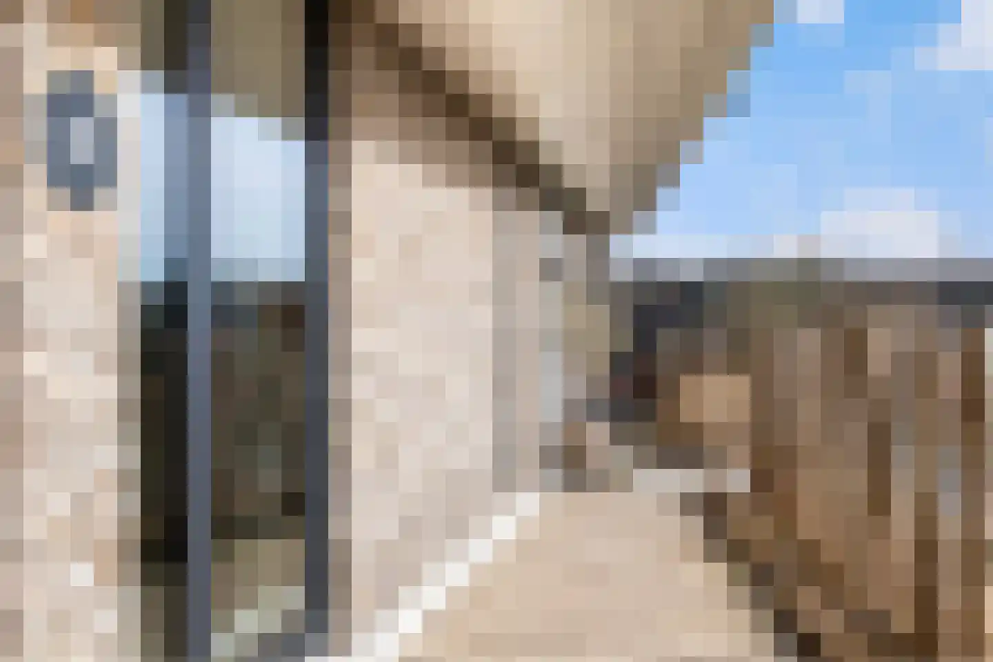 Sjoerdtje Faberhôf 38 Leeuwarden thumbnail 13