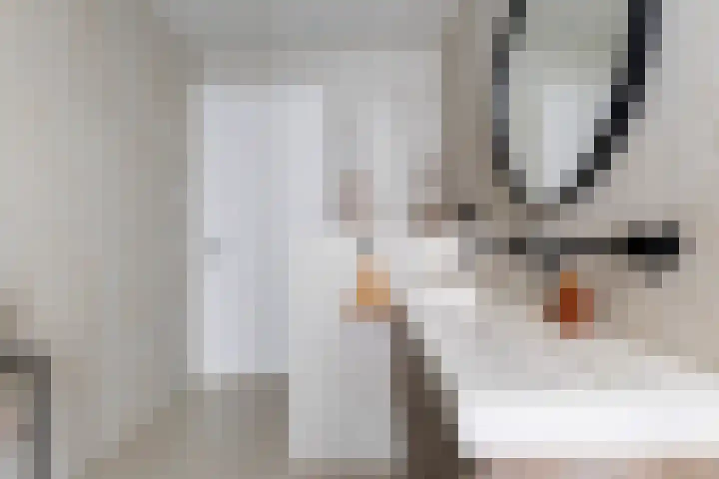 Sjoerdtje Faberhôf 38 Leeuwarden thumbnail 39