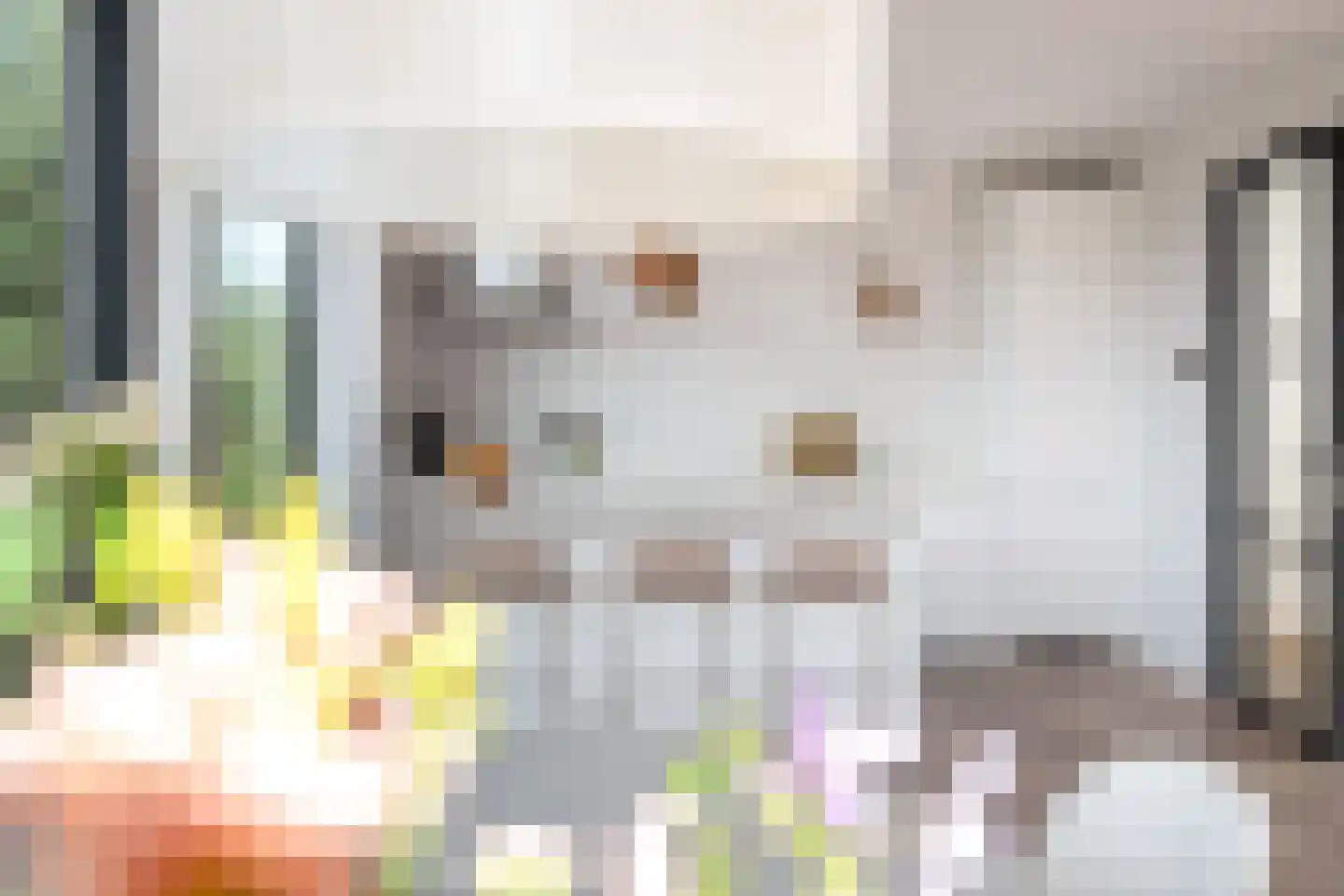 Sjoerdtje Faberhôf 39 Leeuwarden thumbnail 17