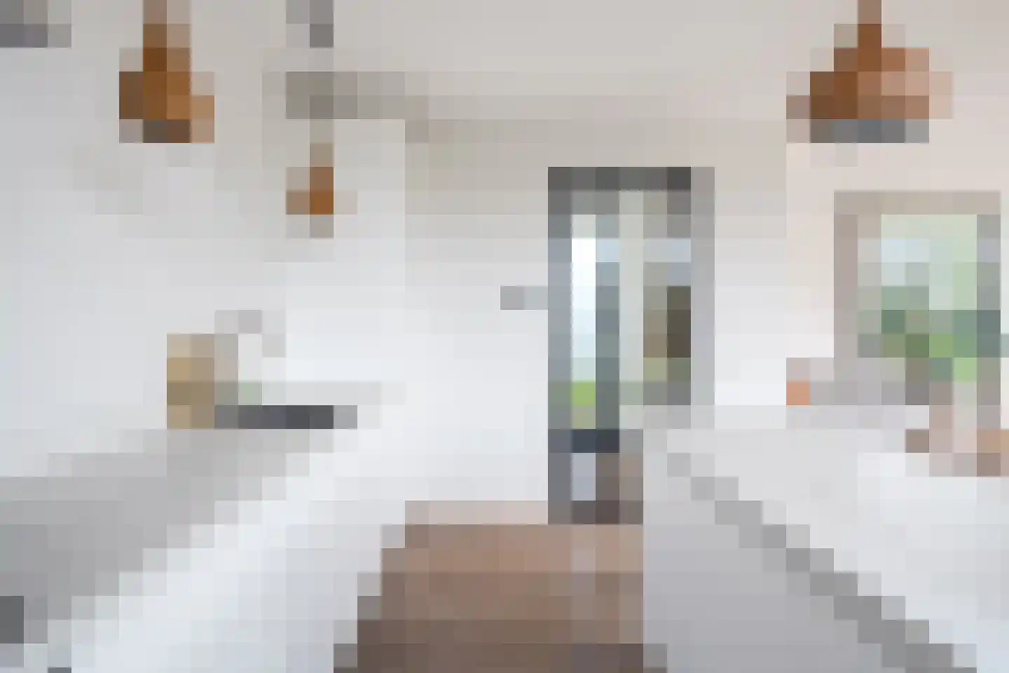 Sjoerdtje Faberhôf 39 Leeuwarden thumbnail 20