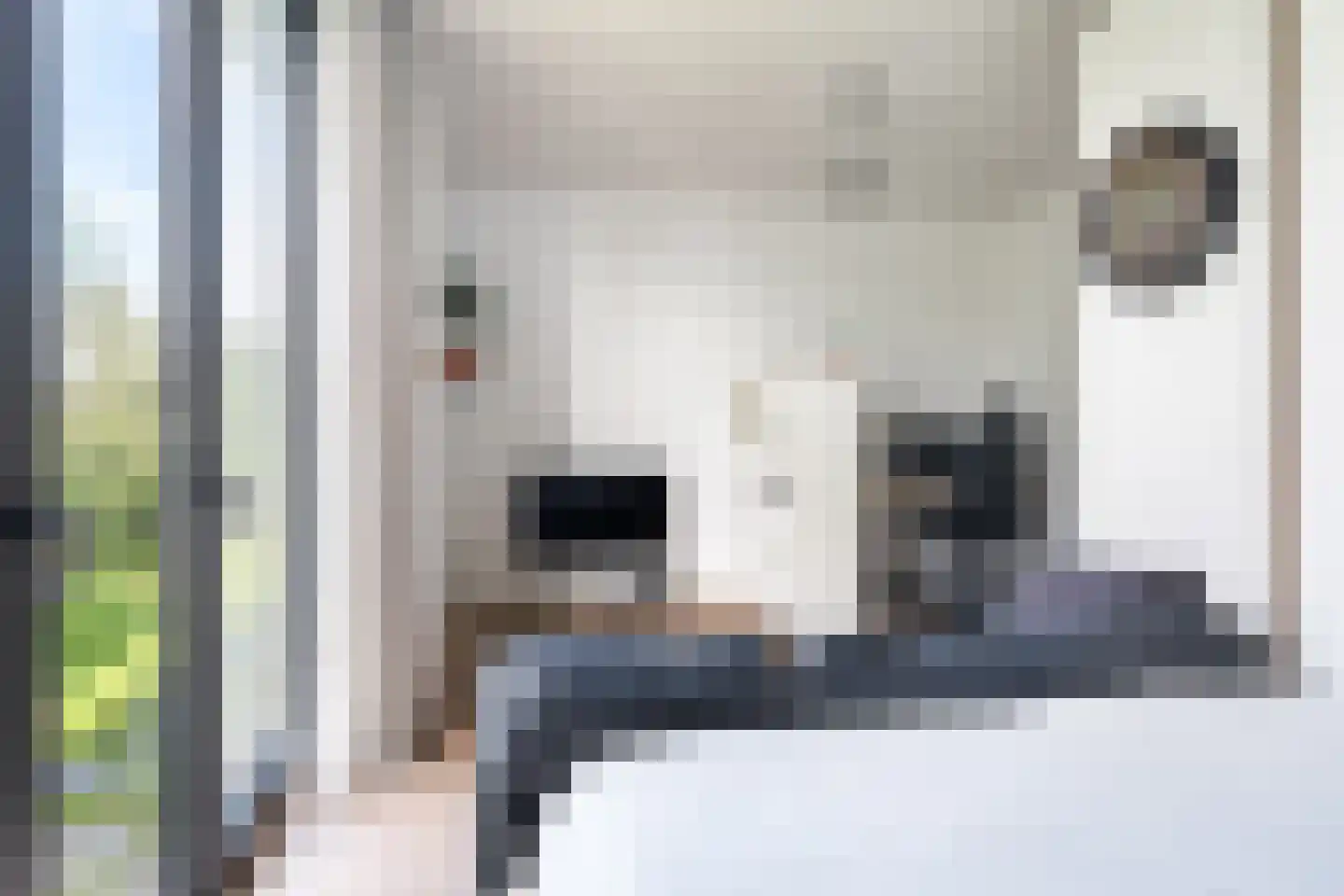 Sjoerdtje Faberhôf 39 Leeuwarden thumbnail 31