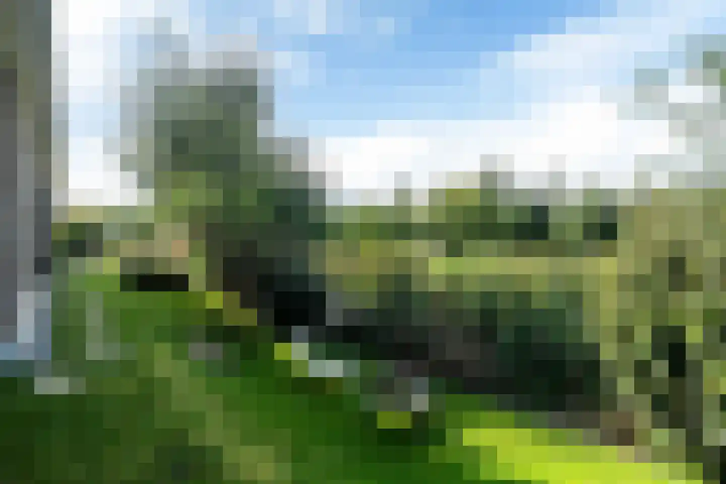 Sjoerdtje Faberhôf 39 Leeuwarden thumbnail 58