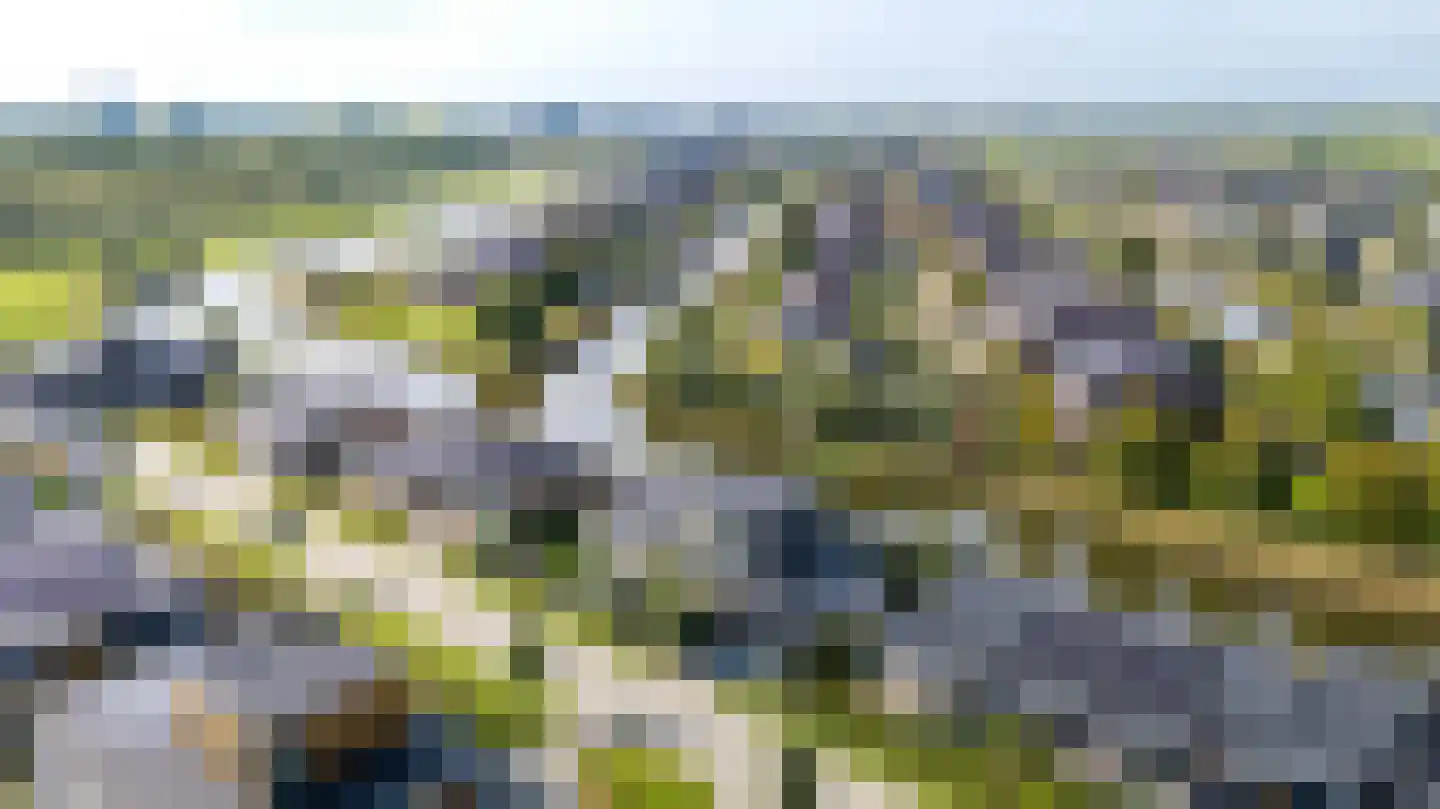 Sjoerdtje Faberhôf 39 Leeuwarden thumbnail 60