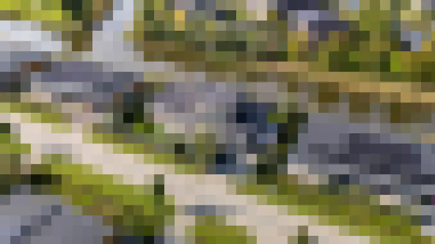 Sjoerdtje Faberhôf 39 Leeuwarden thumbnail 61