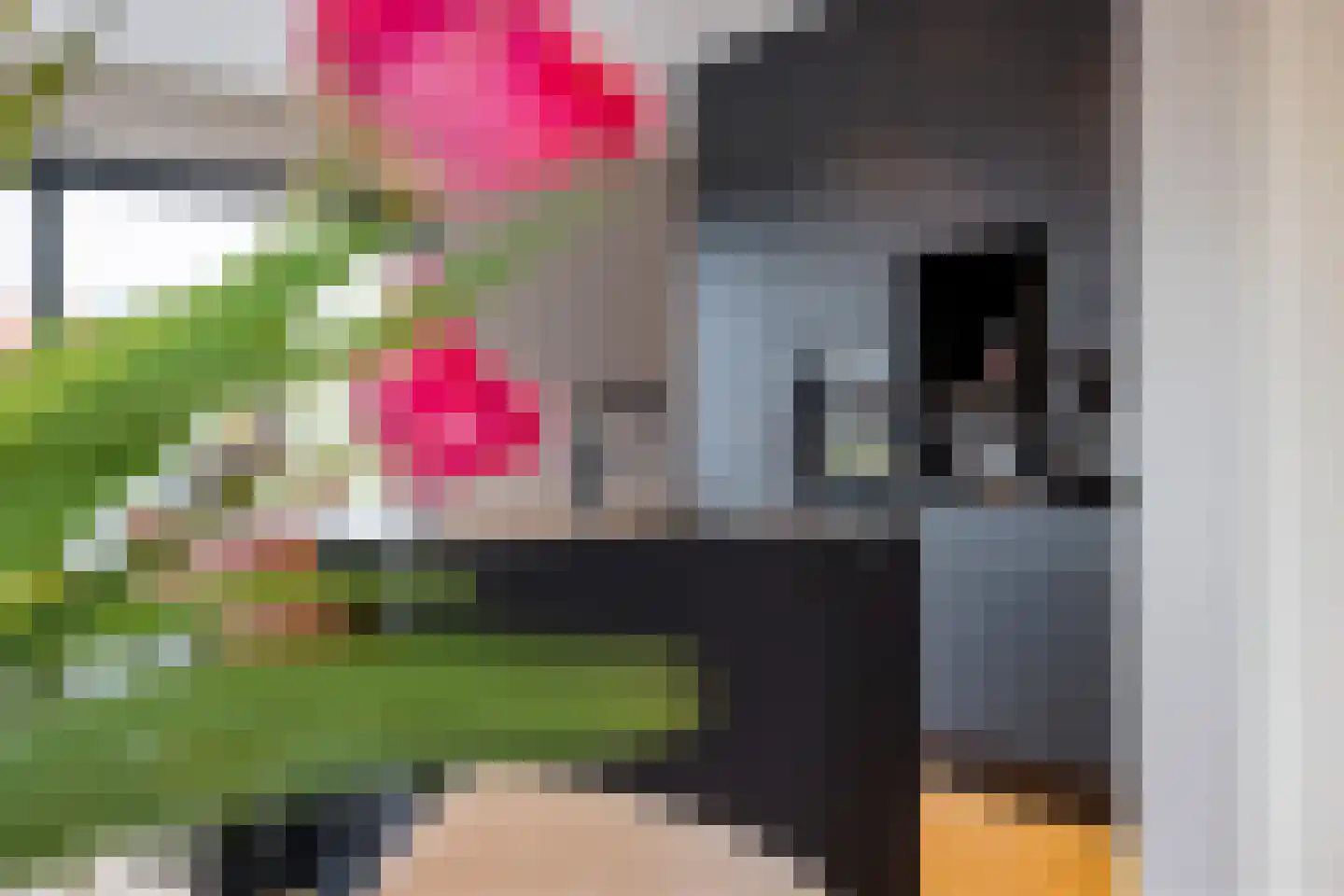 Sjoerdtje Faberhôf 40 Leeuwarden thumbnail 16
