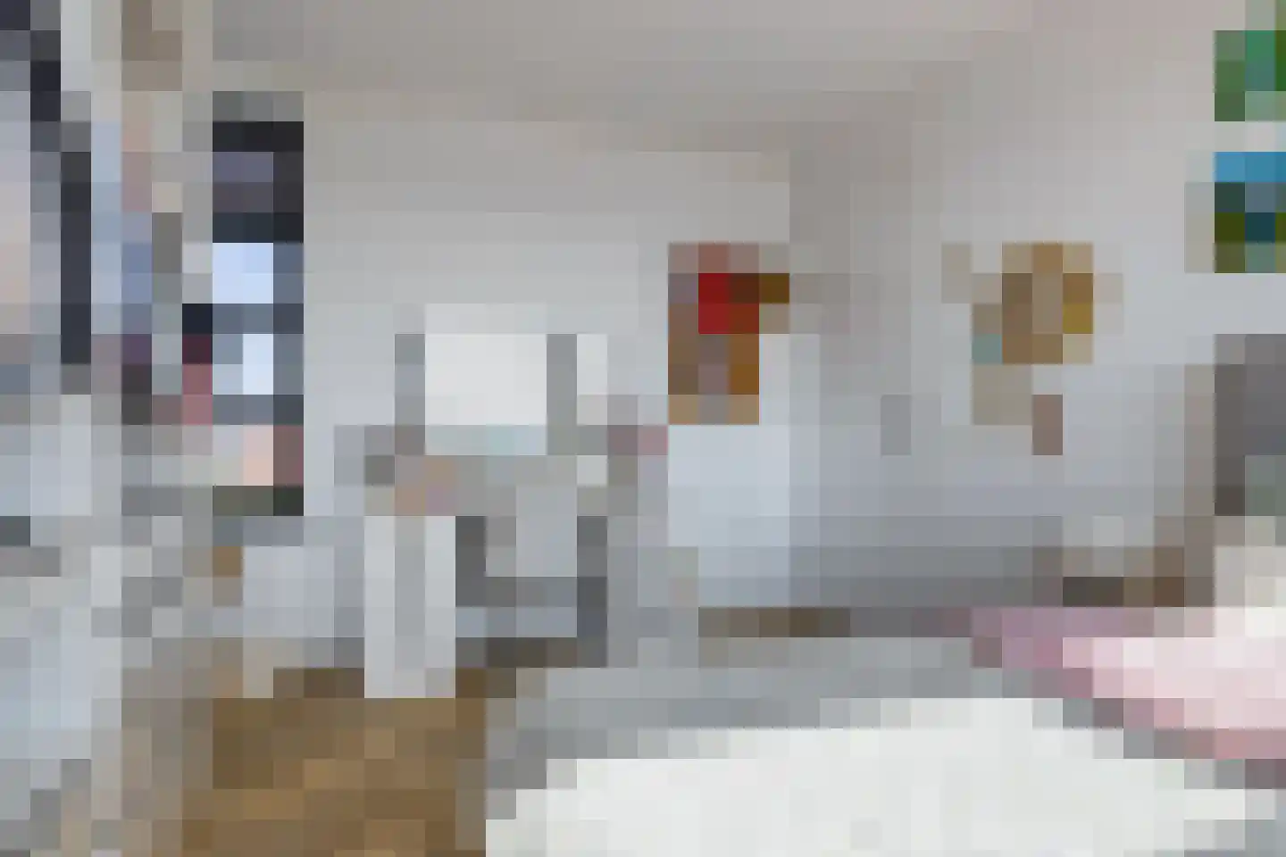 Sjoerdtje Faberhôf 40 Leeuwarden thumbnail 46
