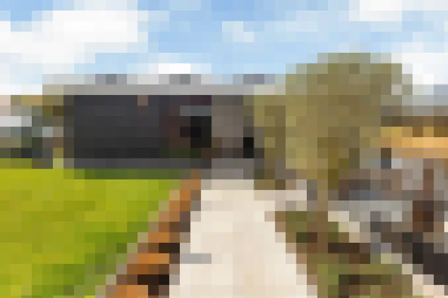 Sjoerdtje Faberhôf 40 Leeuwarden thumbnail 58
