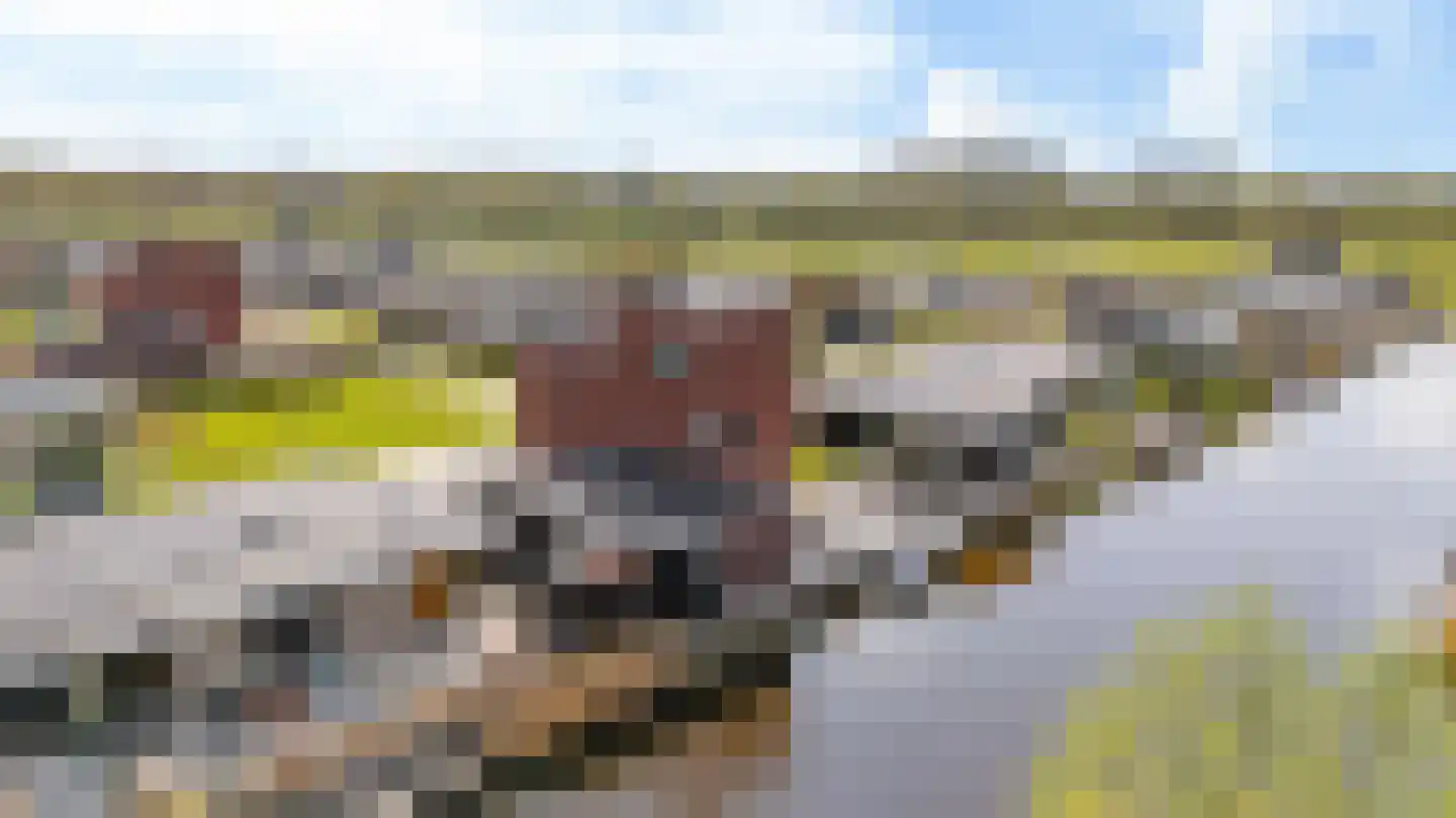 Sjoerdtje Faberhôf 40 Leeuwarden thumbnail 85