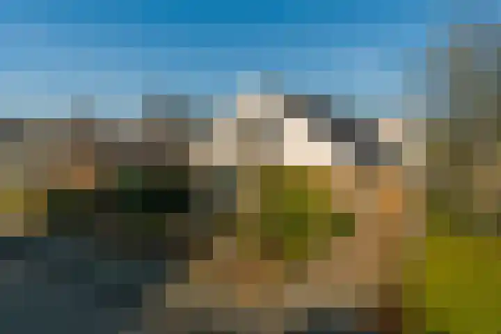 Sjollemastrjitte 5 Damwâld