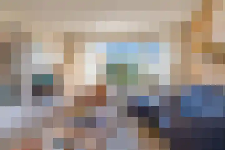 Sjollemastrjitte 5 Damwâld thumbnail 10
