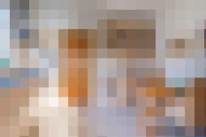Sjollemastrjitte 5 Damwâld thumbnail 13