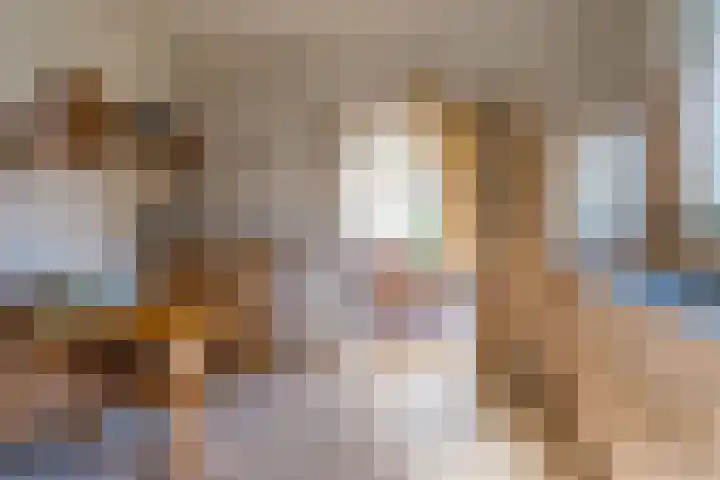 Sjollemastrjitte 5 Damwâld thumbnail 15