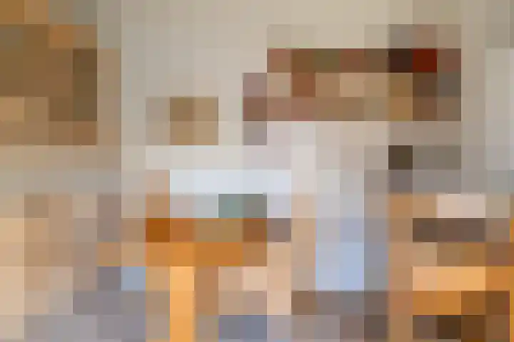 Sjollemastrjitte 5 Damwâld thumbnail 16