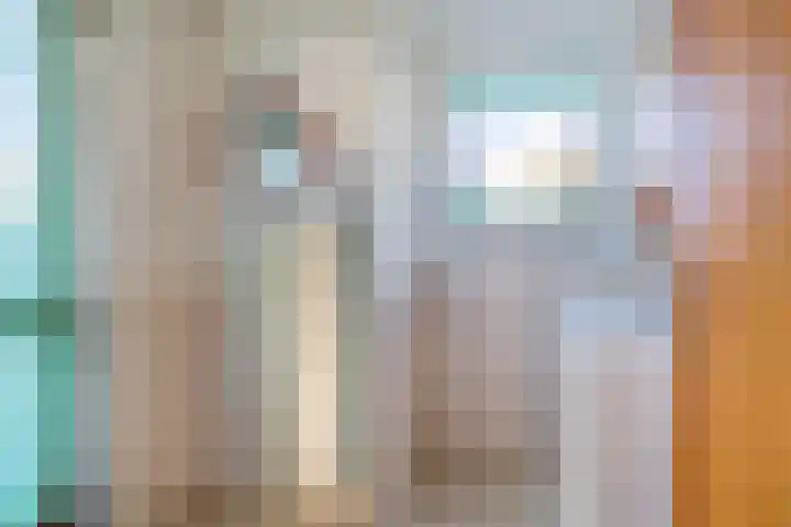 Sjollemastrjitte 5 Damwâld thumbnail 17