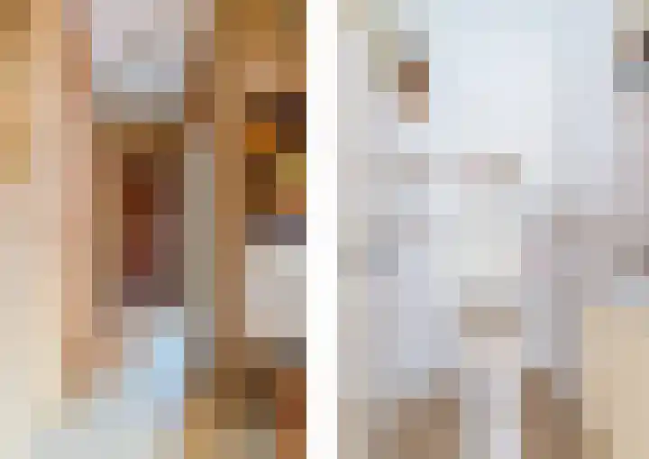 Sjollemastrjitte 5 Damwâld thumbnail 18