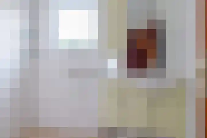 Sjollemastrjitte 5 Damwâld thumbnail 21