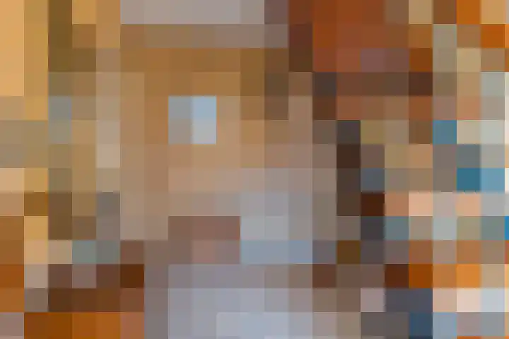 Sjollemastrjitte 5 Damwâld thumbnail 23
