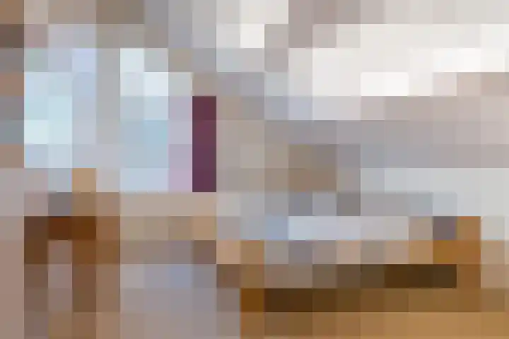 Sjollemastrjitte 5 Damwâld thumbnail 27