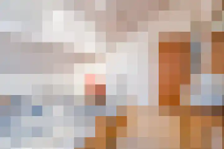 Sjollemastrjitte 5 Damwâld thumbnail 28
