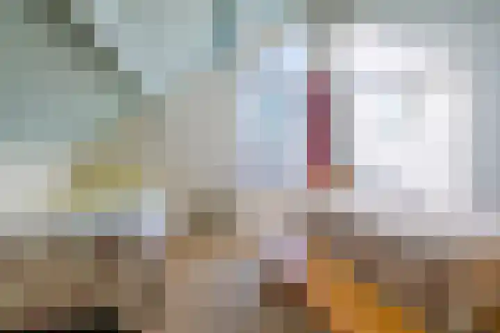 Sjollemastrjitte 5 Damwâld thumbnail 29