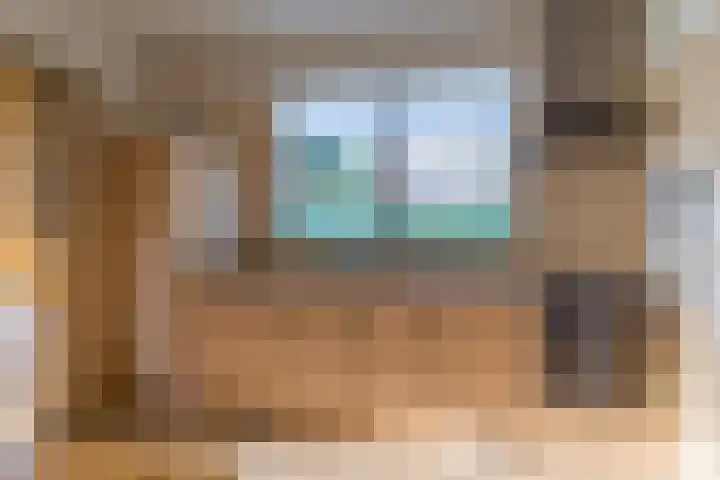 Sjollemastrjitte 5 Damwâld foto 3