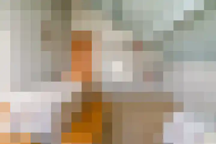 Sjollemastrjitte 5 Damwâld thumbnail 30