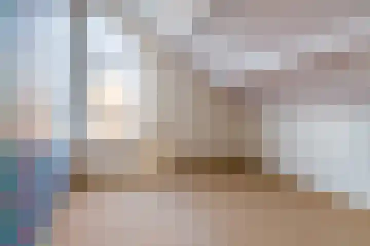 Sjollemastrjitte 5 Damwâld thumbnail 31