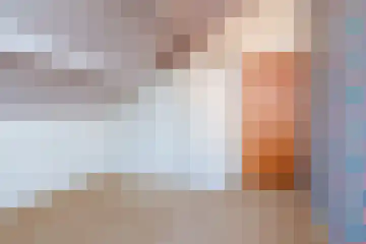 Sjollemastrjitte 5 Damwâld thumbnail 32