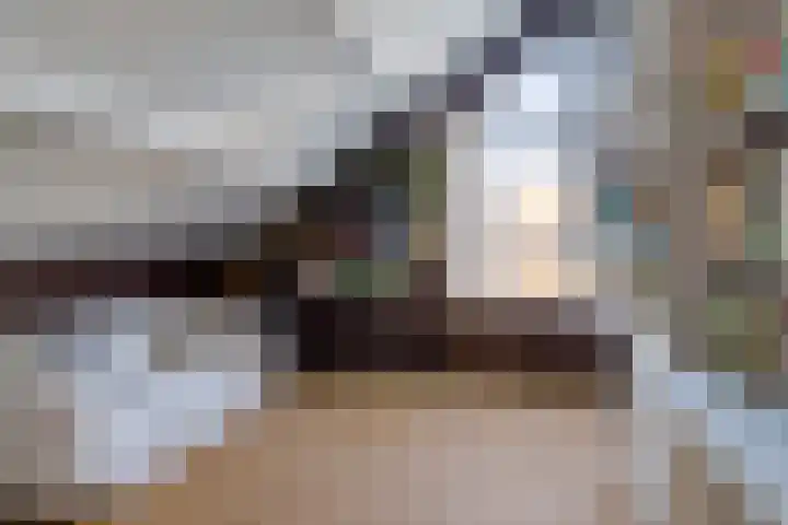 Sjollemastrjitte 5 Damwâld thumbnail 33