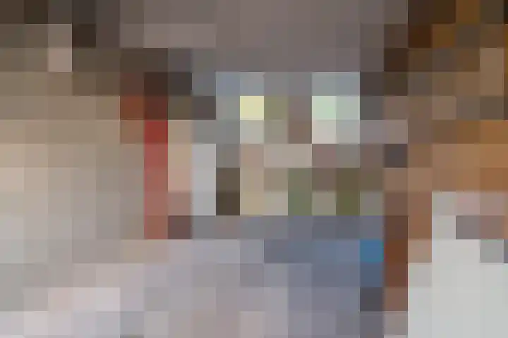 Sjollemastrjitte 5 Damwâld thumbnail 36