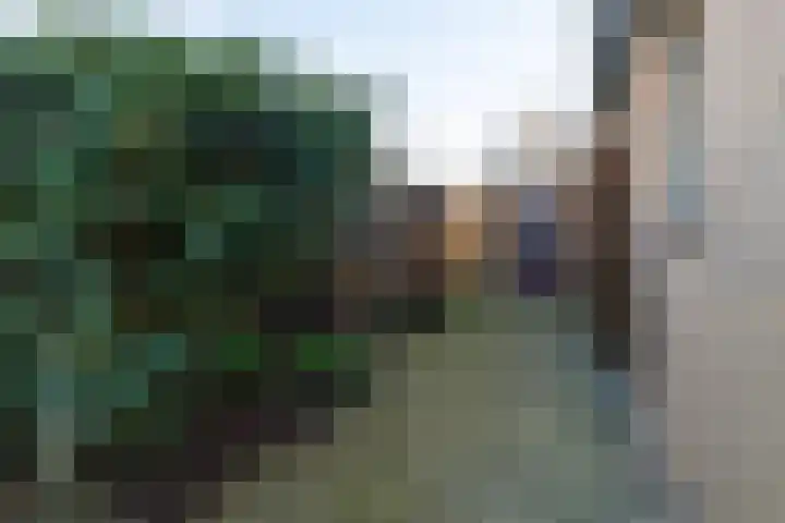 Sjollemastrjitte 5 Damwâld thumbnail 37