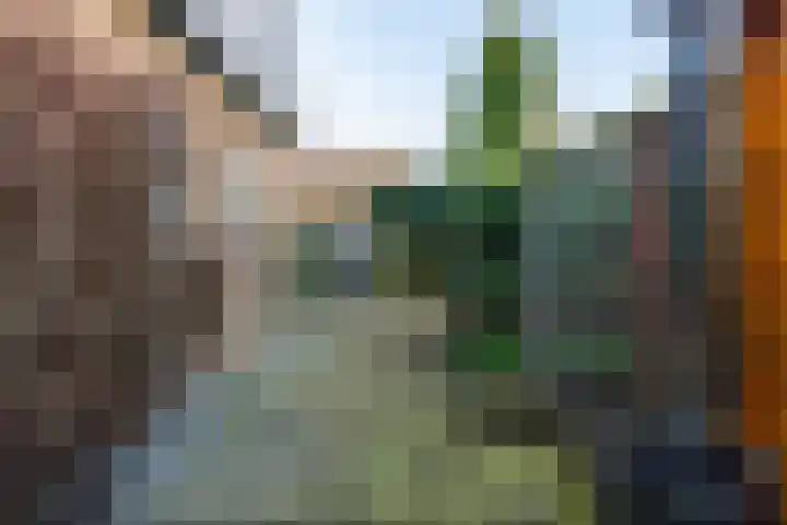 Sjollemastrjitte 5 Damwâld thumbnail 38